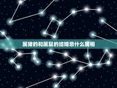 属猪的和属鼠的结婚忌什么属相，结婚当天忌讳什么属相