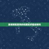 属相婚配属狗的和属蛇的能结婚吗，属蛇的和属猪的可以结婚吗