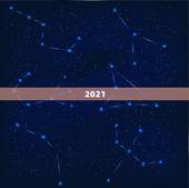 2021.1.1属相，2021年1月1日出生的宝宝属什么