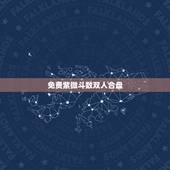 免费紫微斗数双人合盘，请帮看紫薇合盘
