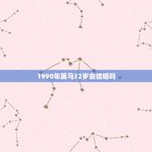 1990年属马32岁会结婚吗，我1990年属马的我想问下半年婚姻情况？