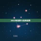 2022年运势12生肖运势，2022年属蛇人的全年运势