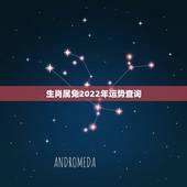 生肖属兔2022年运势查询，2022年属兔人的全年运势怎么样
