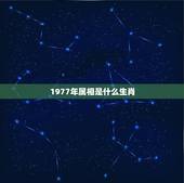 1977年属相是什么生肖