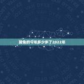 属兔的今年多少岁了2022年，1999年2022 年可以结婚吗