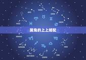属兔的上上婚配，男兔女鼠夫妻属相合吗