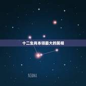 十二生肖本领最大的属相，十二生肖中，哪个本领最大？