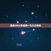属兔2022年运势一九六三年的，1963的人2022运程