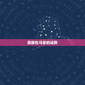 属猴在马年的运势，马年属猴子的人运气如何？