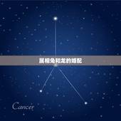 属相兔和龙的婚配，属相婚配：男属龙和女属兔相配吗？