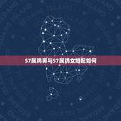 57属鸡男与57属鸡女婚配如何，1957年的属鸡男士和1964年的属龙