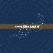 2003年属什么生肖属相，2003年出生的人是属什么的