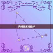狗婚配属相最好，狗跟狗属相相配可以吗