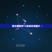 顺治通宝背12属相花钱图片，顺治通宝10万以上图片