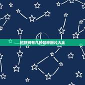 招财树有几种品种图片大全，发财树的品种有哪些呢？