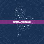 属兔的人今年的运势，属兔的五大贵人