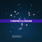 73年的牛在2022年的运势，属牛的73年的今年运势怎么样