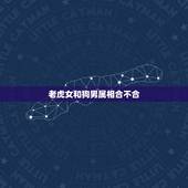 老虎女和狗男属相合不合，生肖虎（女)和生肖狗（男）能配对吗？