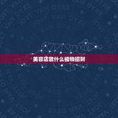 美容店放什么植物招财，店里放什么花招财