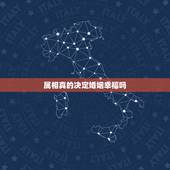 属相真的决定婚姻幸福吗，属相.真的能决定婚姻吗？可不可信？