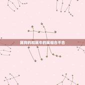 属狗的和属牛的属相合不合，属牛和属狗的人合不合