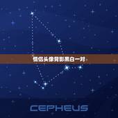 情侣头像背影黑白一对，要黑白的背影情侣头像