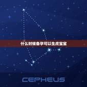 什么时候备孕可以生虎宝宝，想生2022年的虎宝宝几月备孕？