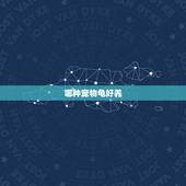 哪种宠物龟好养，什么乌龟最好看又好养？