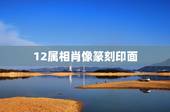 12属相肖像篆刻印面，我想刻一个篆刻生肖龙图案，龙首是面向左还是面向右