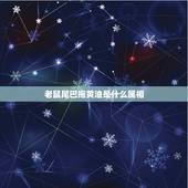 老鼠尾巴拖黄油是什么属相，尾巴粗粗长长的像老鼠，这个是什么动物？