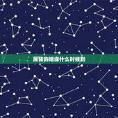 属猪的姻缘什么时候到，95年属猪哪年遇到另一半