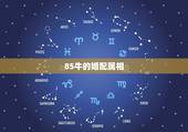85牛的婚配属相，85年属牛的和什么属相配最好？