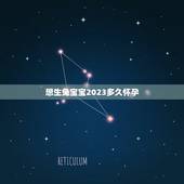 想生兔宝宝2023多久怀孕，2023年生兔备孕表