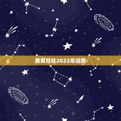 庚寅日柱2022年运势，2003年属羊人逢2022年虎年运势如何