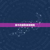 属牛的最配属相婚配，属牛的和什么属相比较相配啊？