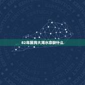 82年属狗大海水命缺什么，男属狗大海水命1982年正月十四命中缺什么