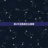 养2只乌龟是什么寓意，养乌龟有什么寓意？