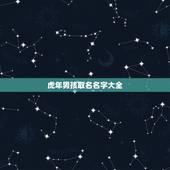 虎年男孩取名名字大全，虎年男孩起名字大全