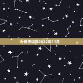 射手运势2022年11月，射手座11月份的所有运势如何？