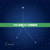 1981年跟1971年婚配吗，71年属猪男孩和属鸡的女81年相配吗？