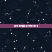 属兔的今年多少岁2022，属兔的出生年份