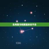 生肖属马和属鼠的合不合，生肖属马的人晚婚原因大揭秘