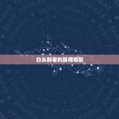 白头到老的属相婚配，婚后一同享受荣华富贵，白头偕老的生肖婚配都有哪些？
