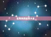 生肖狗周运势大全，属狗10年运势