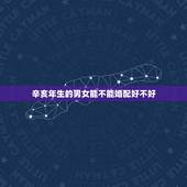 辛亥年生的男女能不能婚配好不好，男女都是午时出生的能结婚吗？婚配合不合