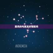 属鸡的与属龙的相配吗，属鸡一生有二婚