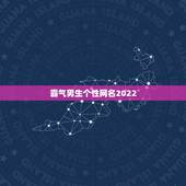 霸气男生个性网名2022，2023霸气网名最新版的男生