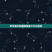 梦见自己的属相兔是个什么征兆，做梦梦到兔子是啥征兆