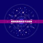 属猴和属狗的合不合婚姻，属猴和属狗合不合