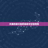 夫妻的缘分真的是命中注定的吗，命中注定的缘分真的有吗，什么是命中注定，